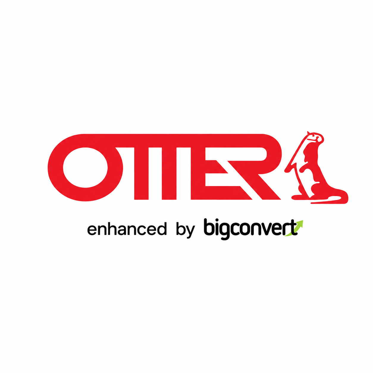 Studiu de Caz ecommerce: +81.000 de comenzi in doar 8 luni pentru magazinul Otter.ro