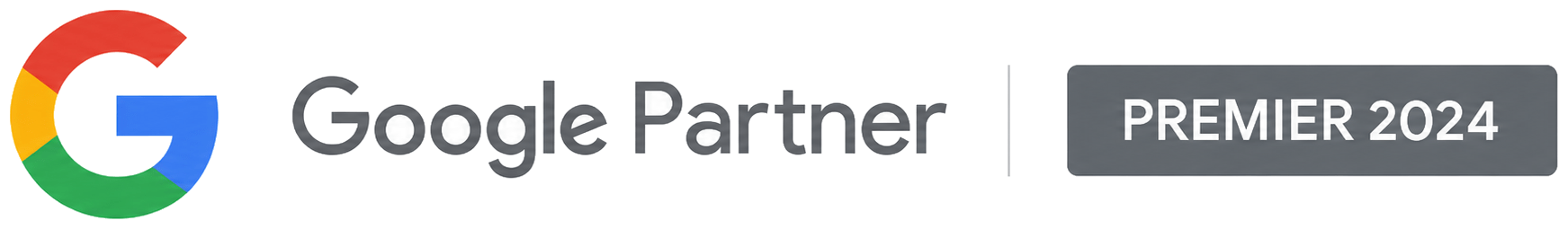 Google Partner — Premier 2024